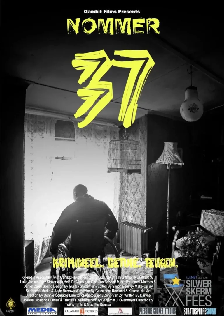 《37号2018》全集高清完整版在线观看与剧情解析