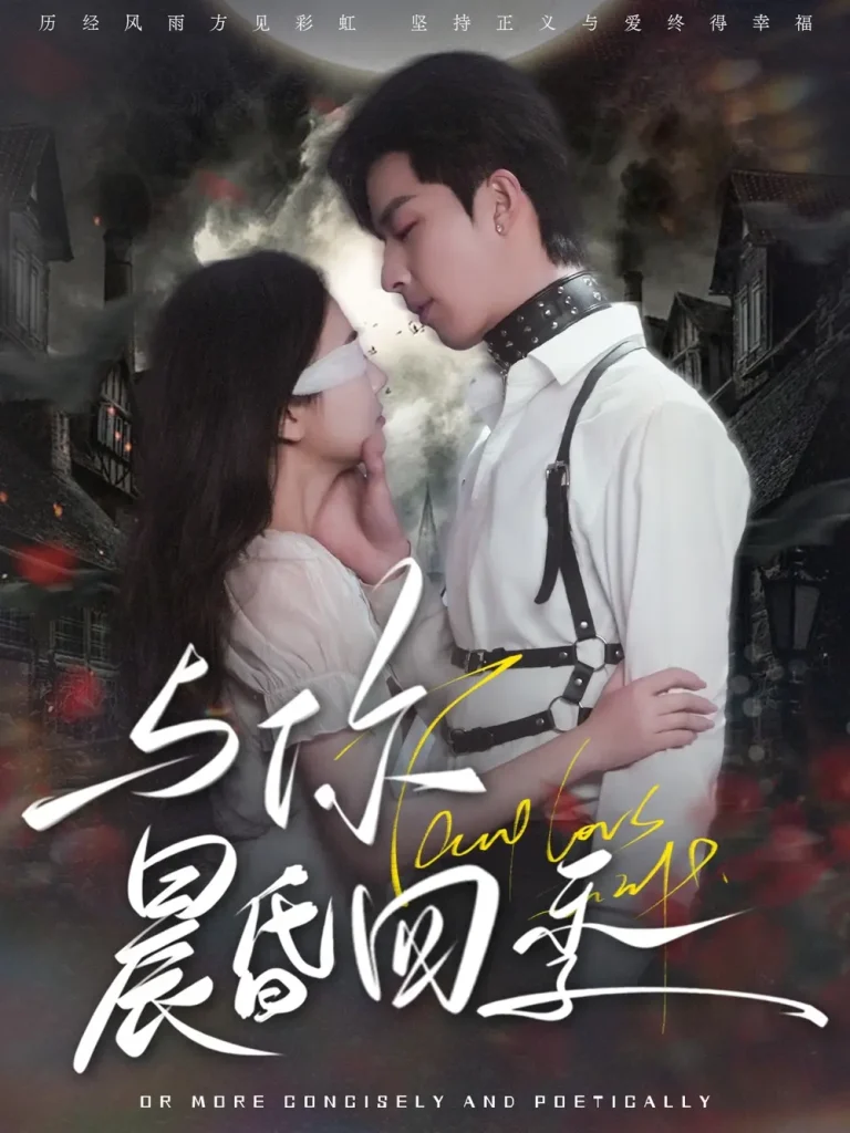 《与你晨昏四季》全集高清完整版在线观看与剧情解析