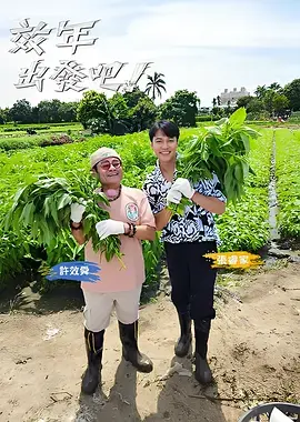 《效年出发吧!》全集高清完整版在线观看与剧情解析