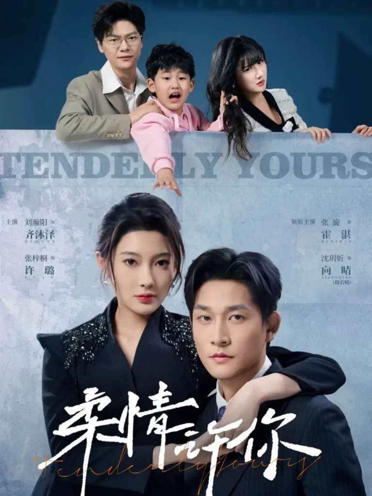 《柔情许你》全集高清完整版在线观看与剧情解析