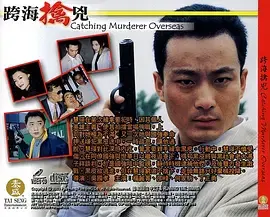 《跨海擒兇》全集高清完整版在线观看与剧情解析