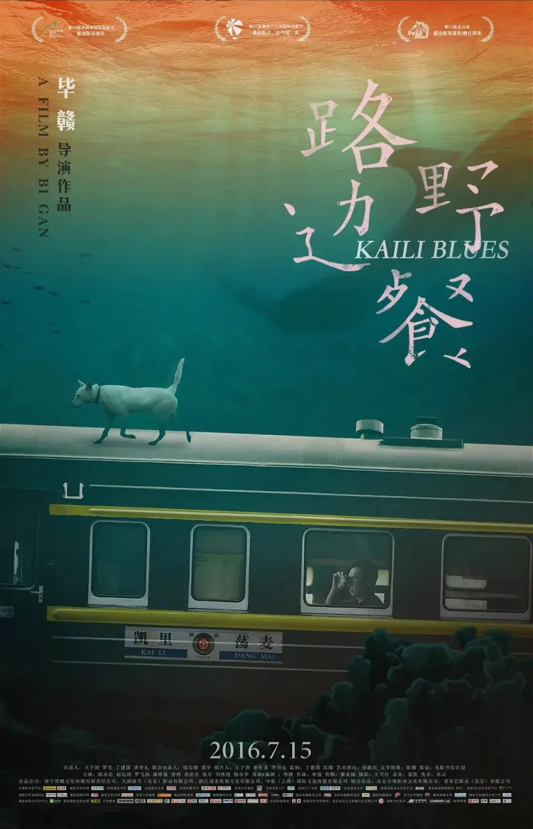 《路边野餐2015》全集高清完整版在线观看与剧情解析