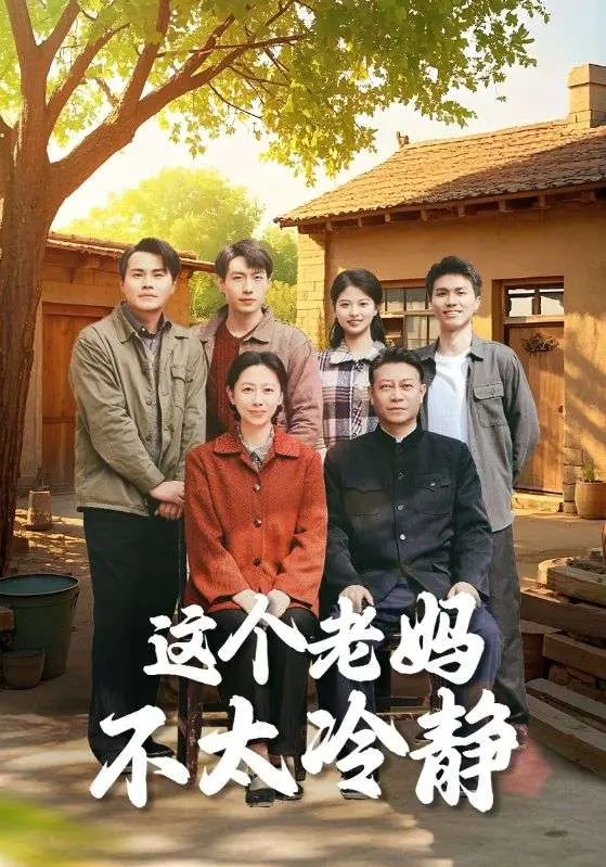 《这个老妈不太冷静》全集高清完整版在线观看与剧情解析