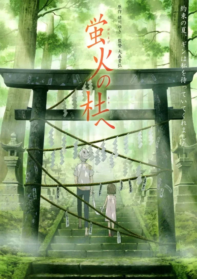 《萤火之森》全集高清完整版在线观看与剧情解析